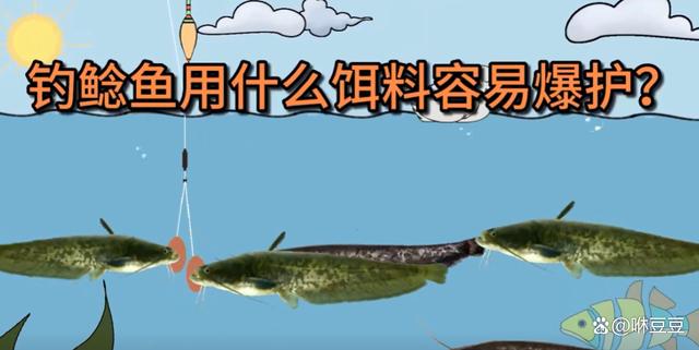 鲇鱼用什么饵料(鲇鱼用什么钓)