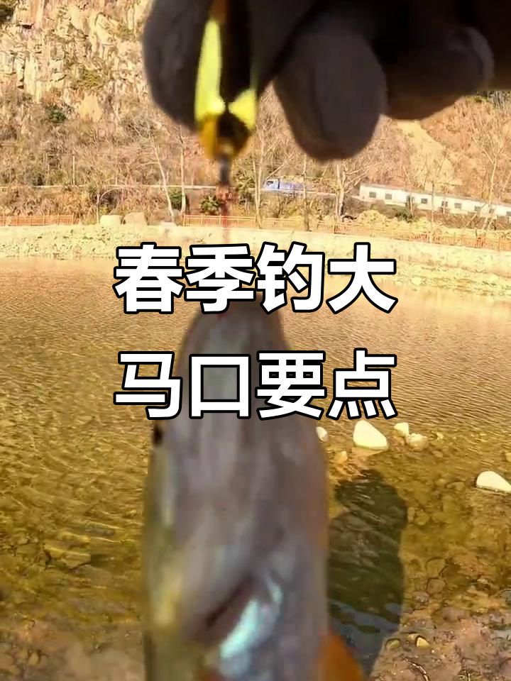 钓马口用技巧(野钓马口)