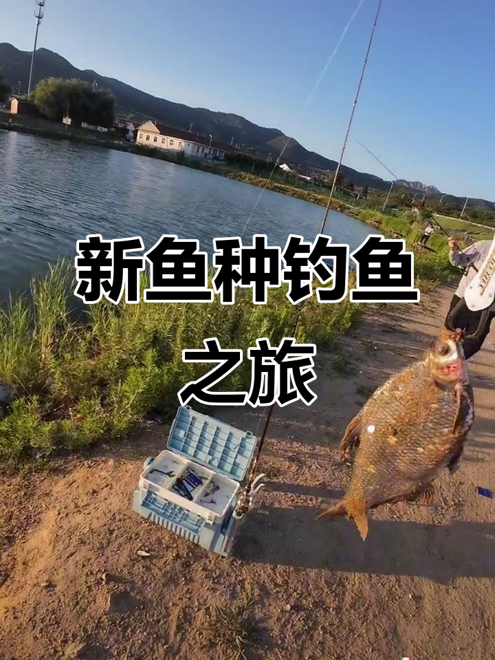 莫干山钓路亚(浙江路亚哪里最好)
