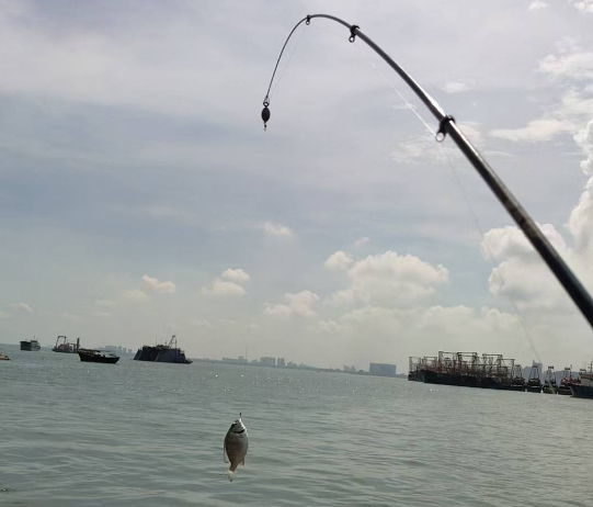 漳州海钓网(福建漳州哪里可以海钓)