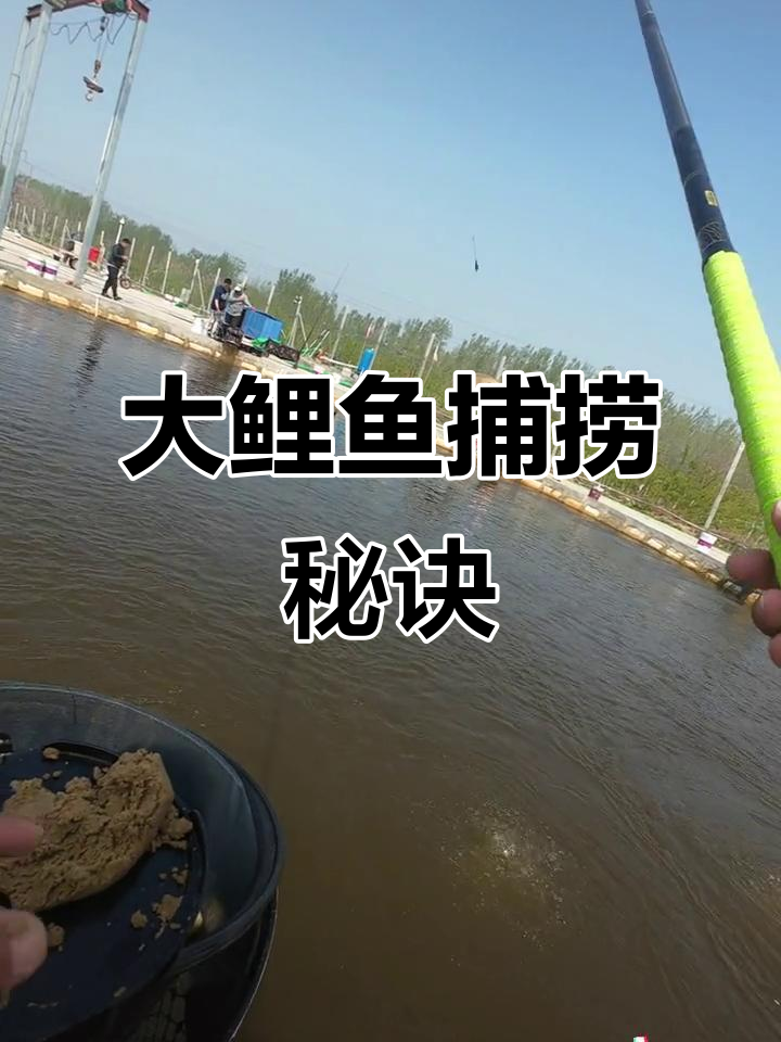 开鲤鱼饵技巧(如何开鲤鱼拉饵)