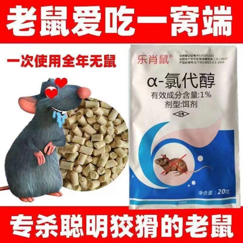 饵料里面加老鼠药(钓鱼老鼠药好用吗)