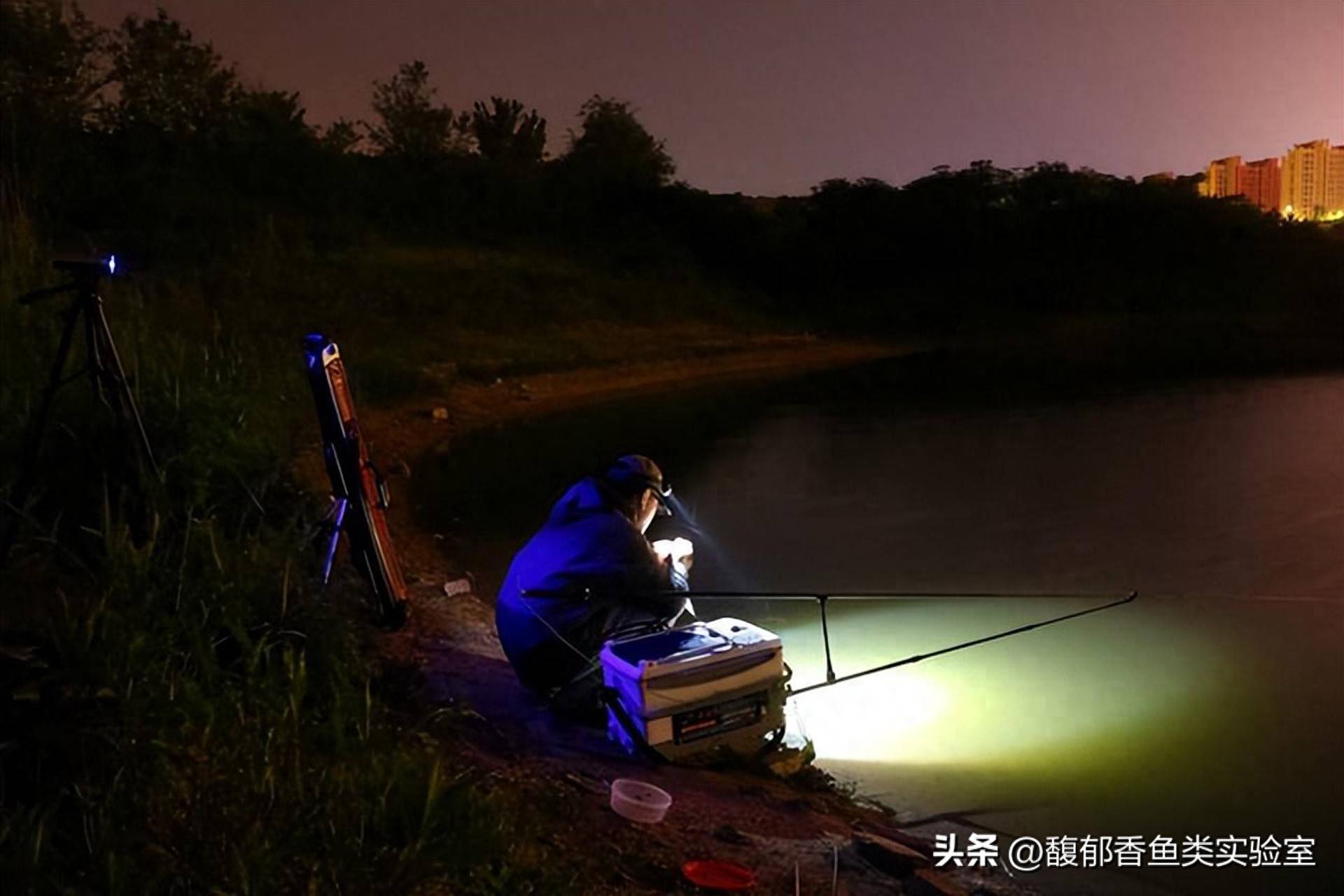 形容夜晚钓鱼技巧(形容夜晚钓鱼技巧的成语)