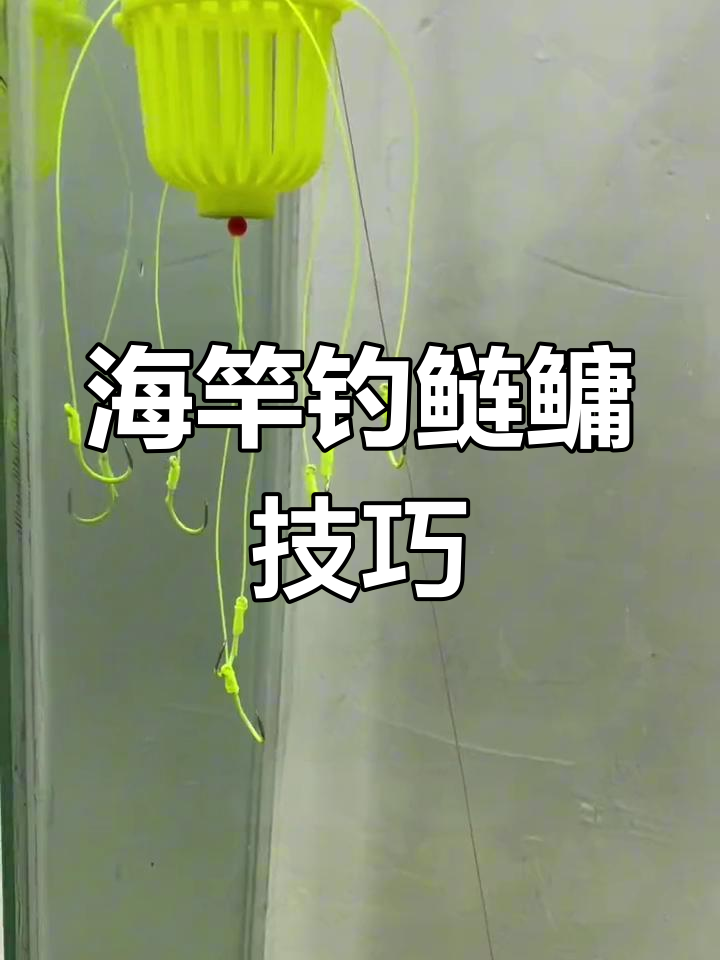 流水海竿钓鲢鳙技巧(水流急如何用海杆钓底)