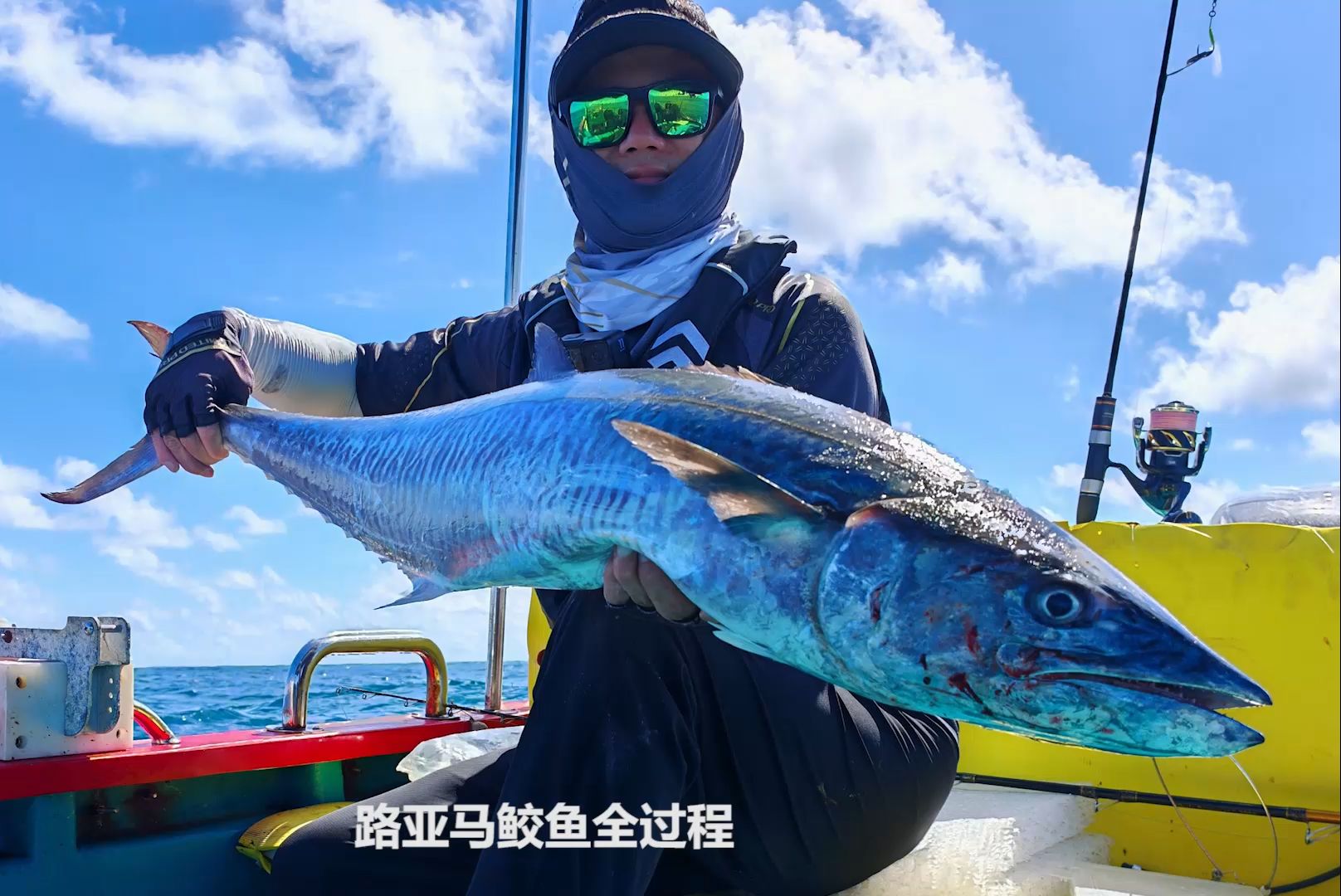 海钓马鲛(海钓马鲛鱼用什么饵)
