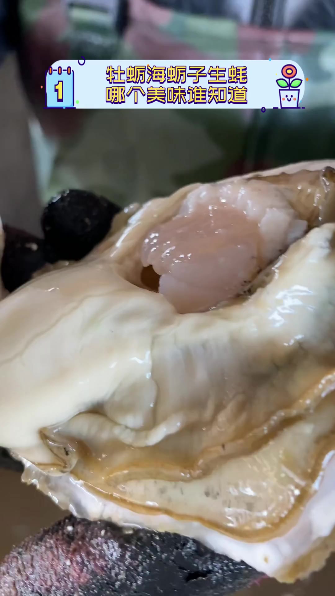 威海钓黑鲷牡蛎排(海钓黑鲷及钓法视频)