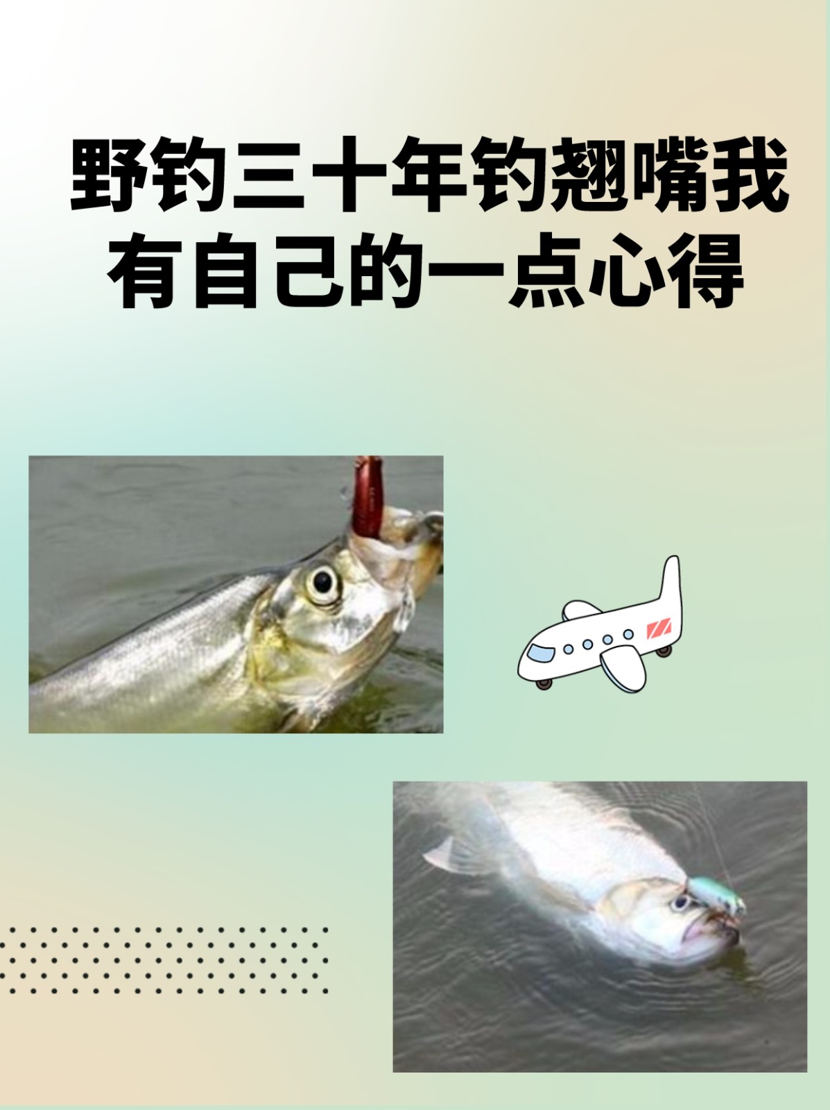 水库钓小翘嘴鱼技巧(水库钓小翘嘴怎么钓)