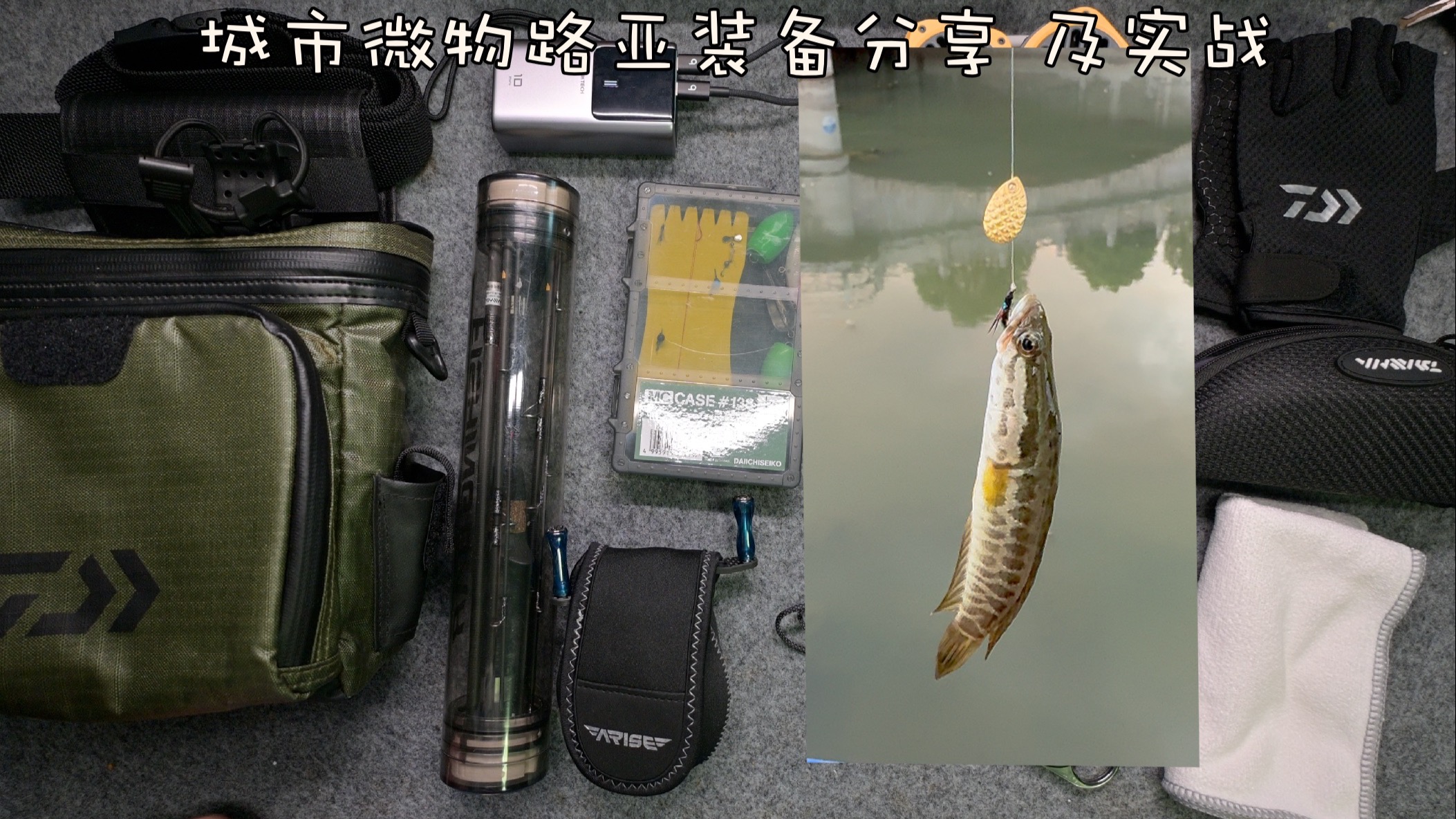 路亚河流实战(路亚河流实战视频大全)