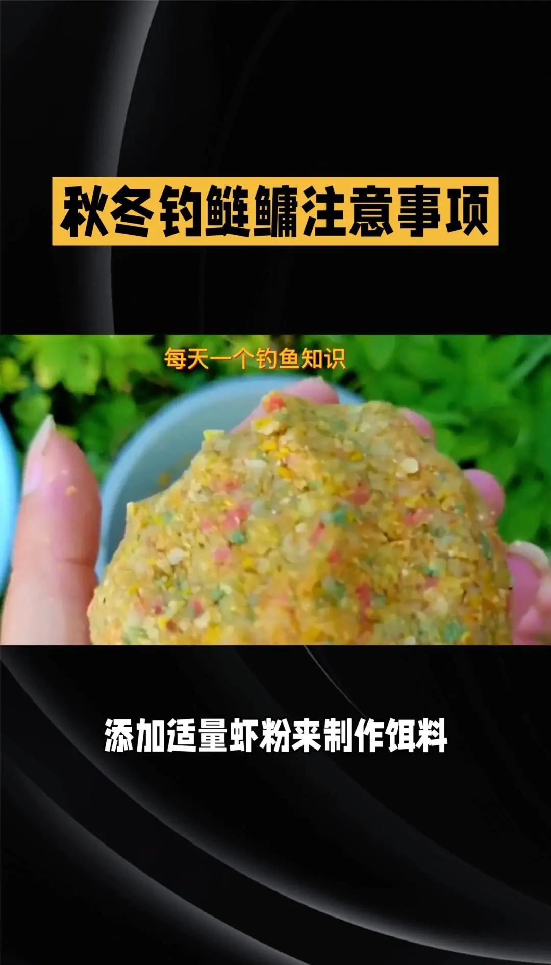 河钓雄鲢技巧秋天(河钓雄鲢技巧秋天能钓吗)