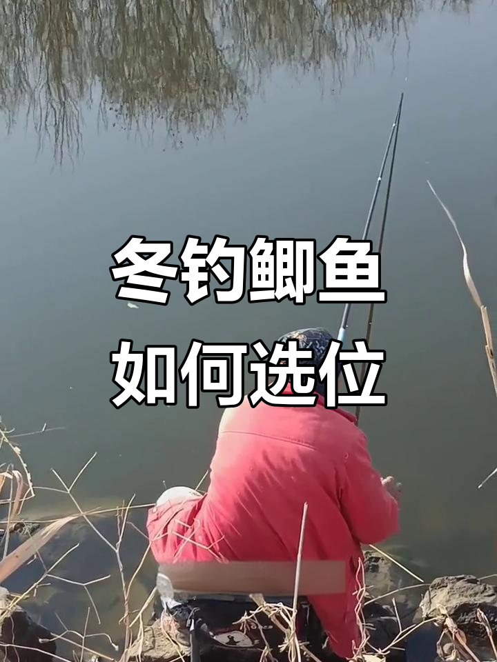 冬钓技巧选位(冬钓什么方位)