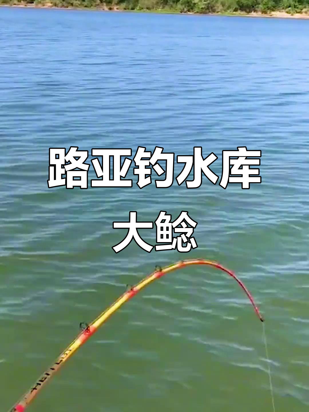 春季大型水库路亚技巧(水库钓鱼路亚)