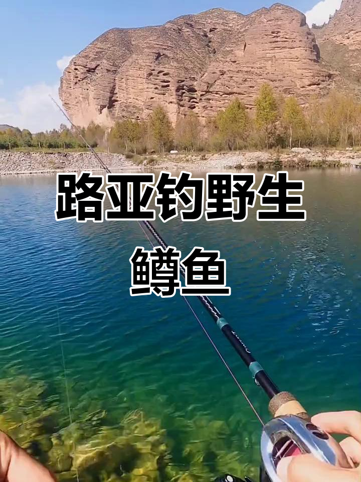 青海玩路亚(青海湖可以路亚吗)
