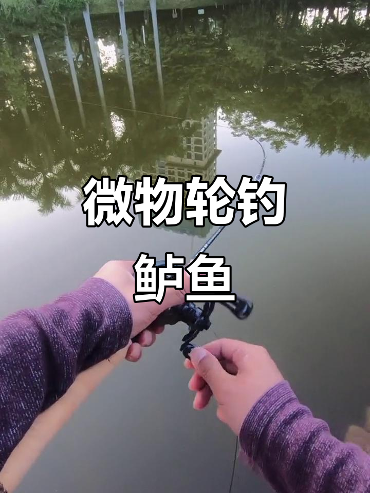 亮片抛投技巧视频(亮片抛投技巧视频大全)