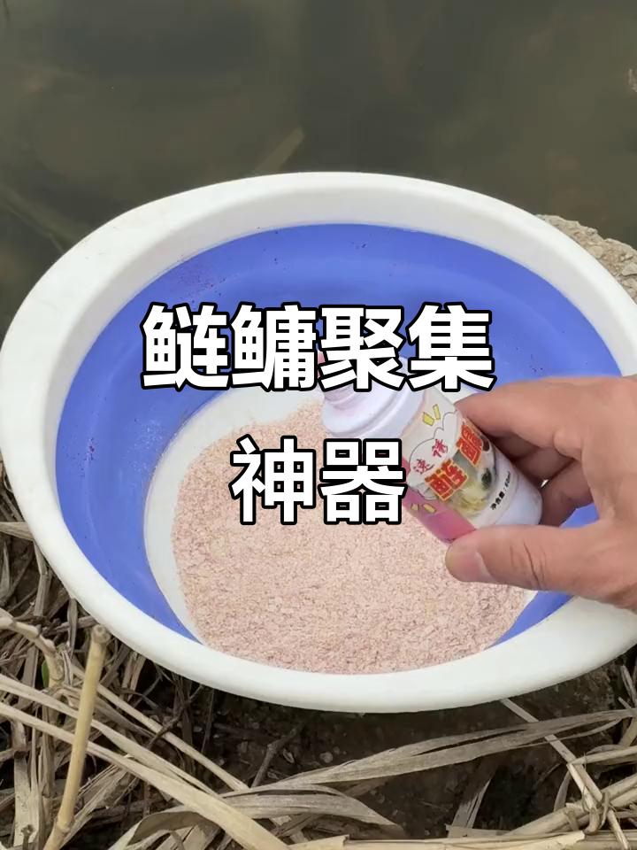 花鲢饵料太散(鲢鳙饵料太黏了应该从什么)