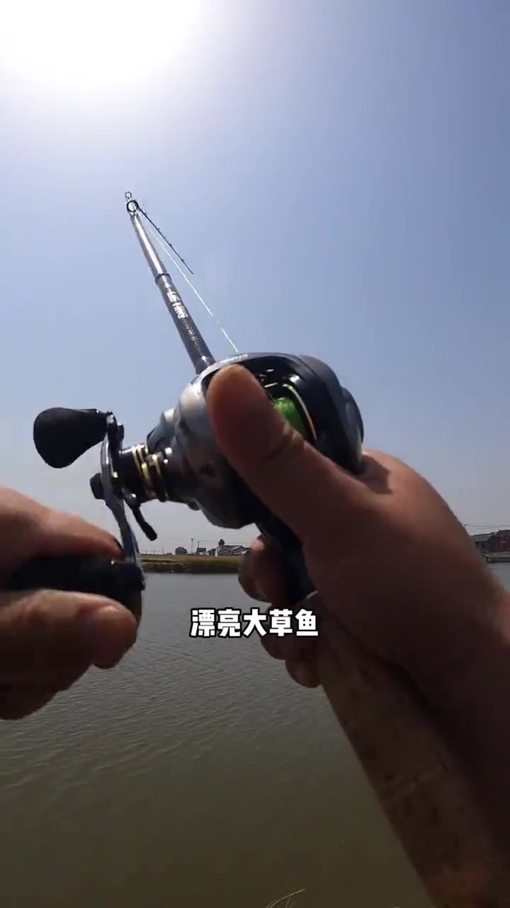 广东冬季钓草鱼技巧视频(广东冬钓用什么饵料)
