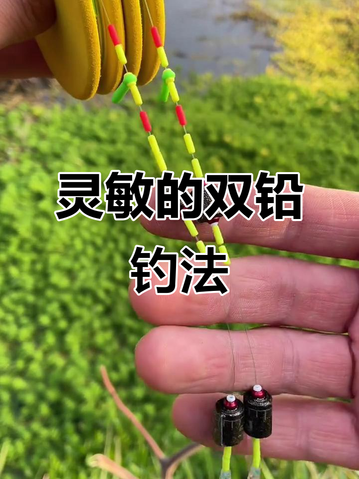 双铅野钓大鱼技巧(双铅野钓最实用调漂方法)