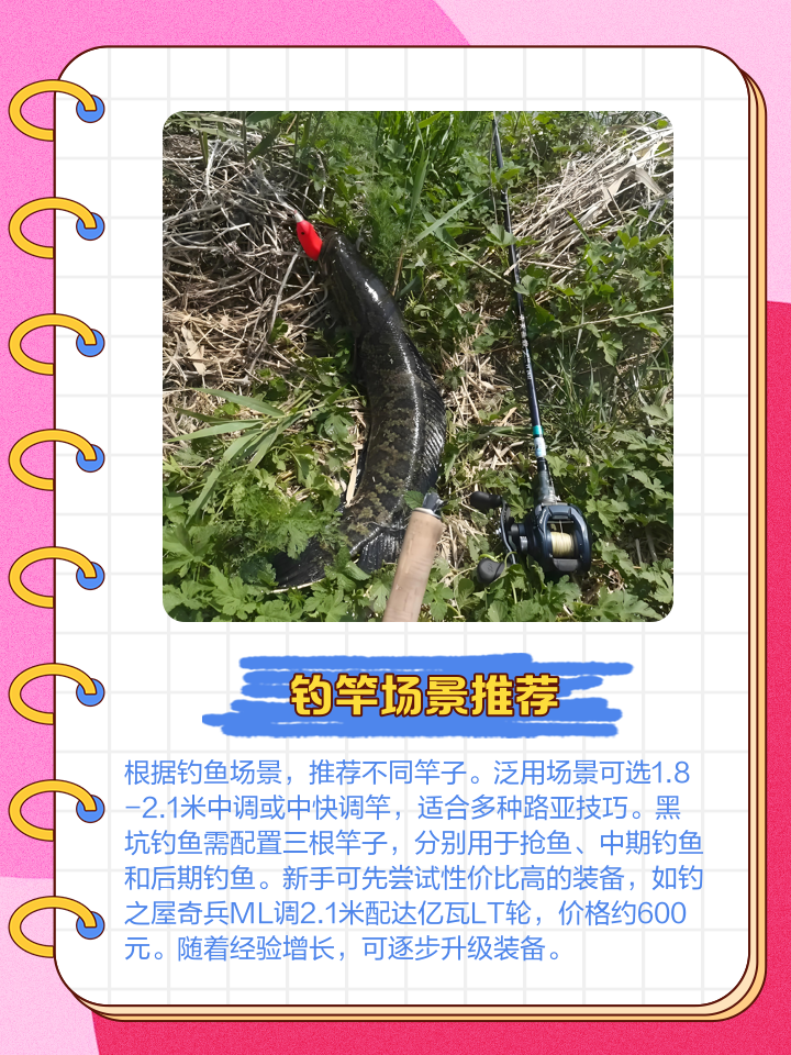 新手路亚竿选哪个调好(新手路亚竿怎么选)
