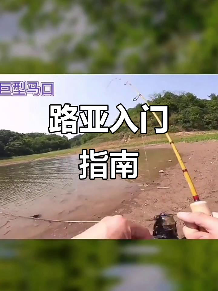 新手路亚学习(新手路亚怎么入手)
