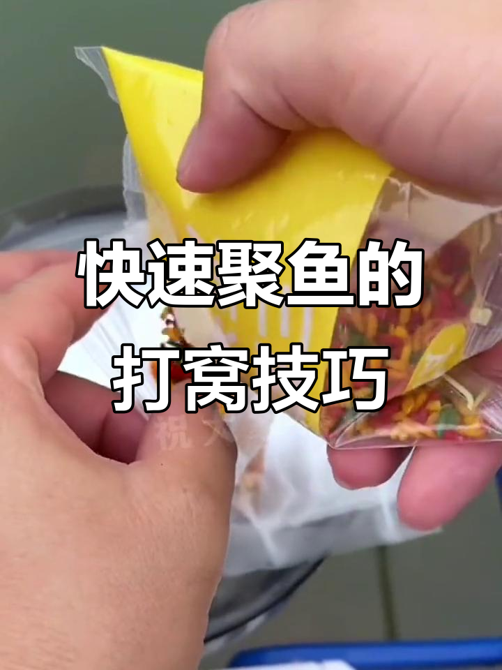 定点精准打窝技巧(定点精准打窝技巧和方法)