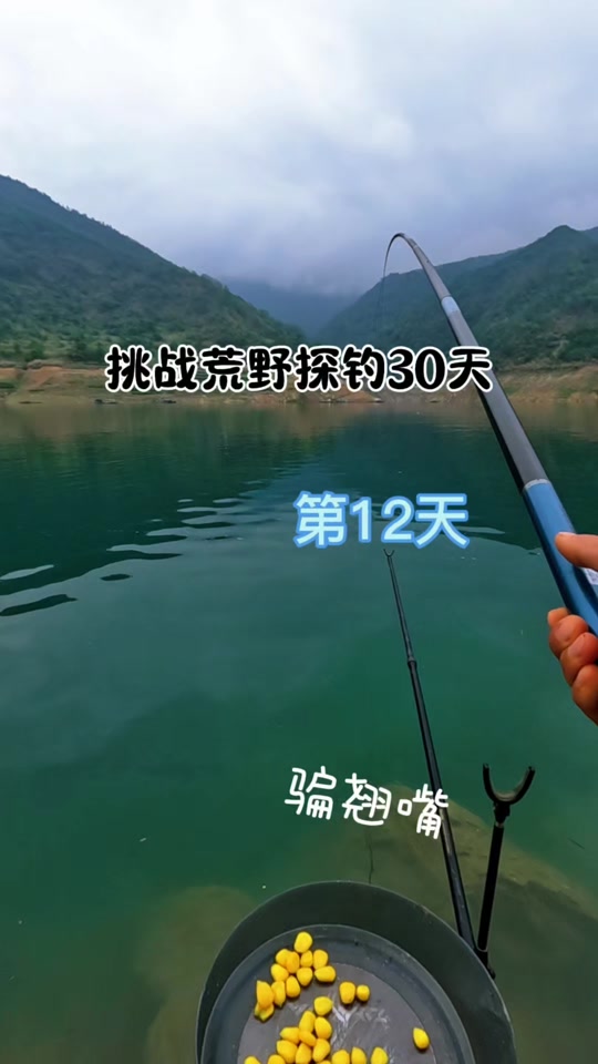 冬钓江河翘嘴技巧(冬钓翘嘴用什么饵料)