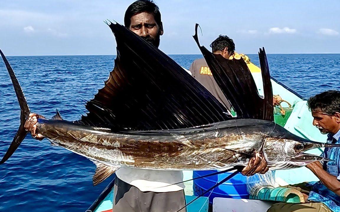 深海钓(深海钓鱼真实感受)