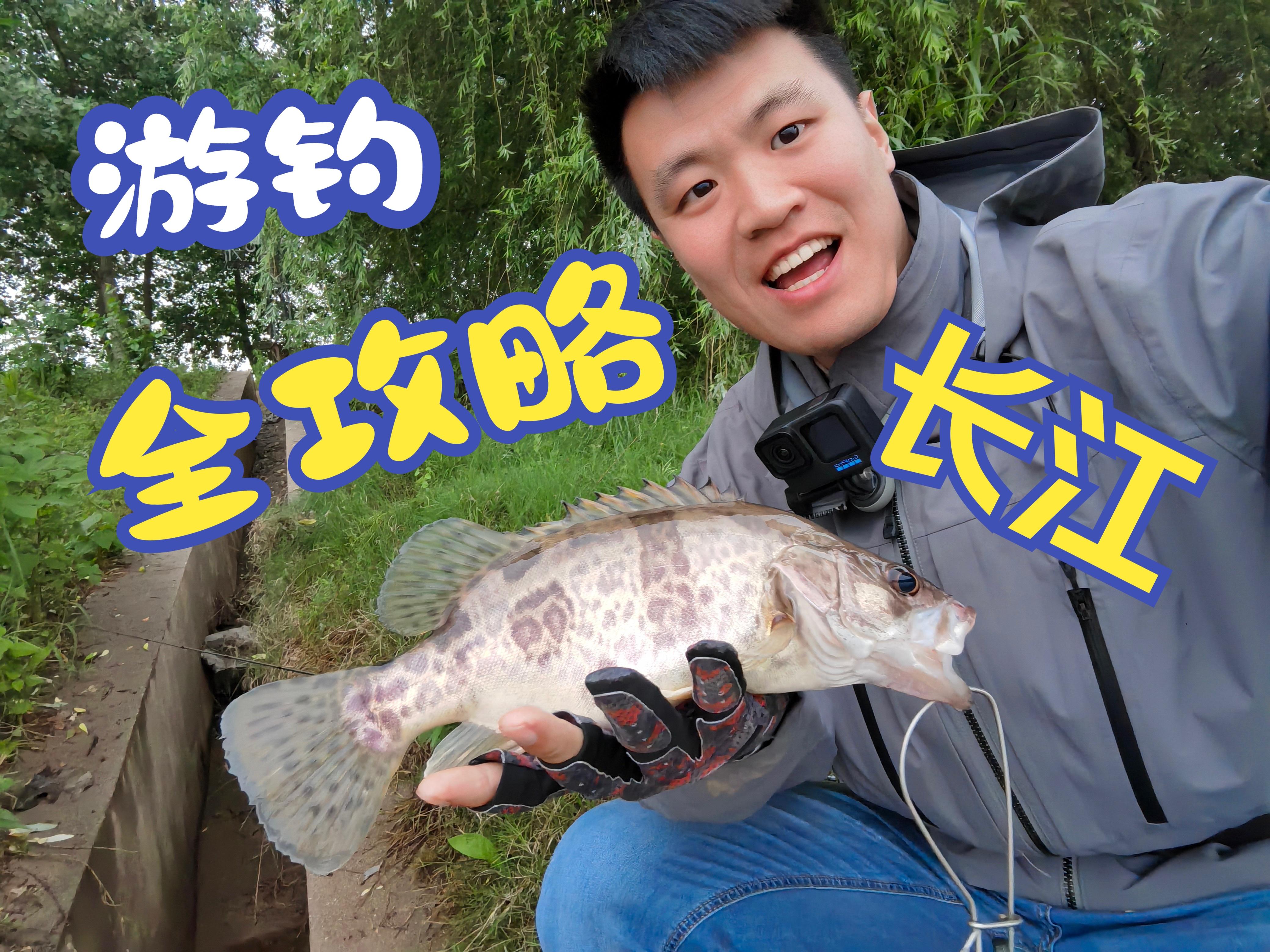 路亚游钓的简单介绍