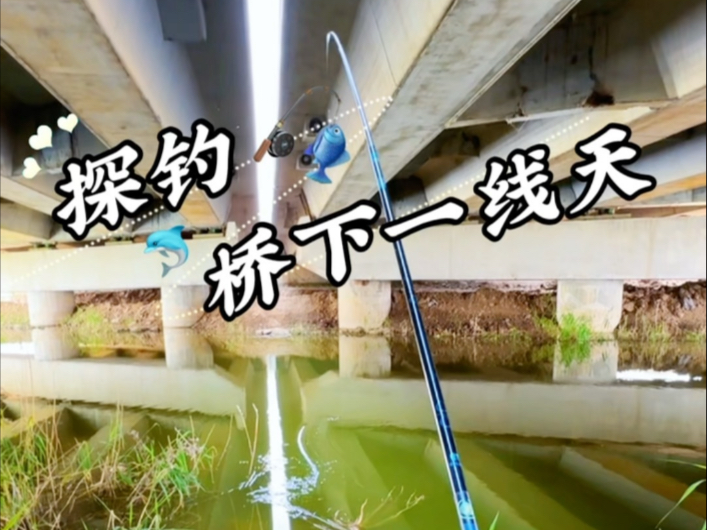 桥钓技巧教学视频(桥钓技巧和方法)