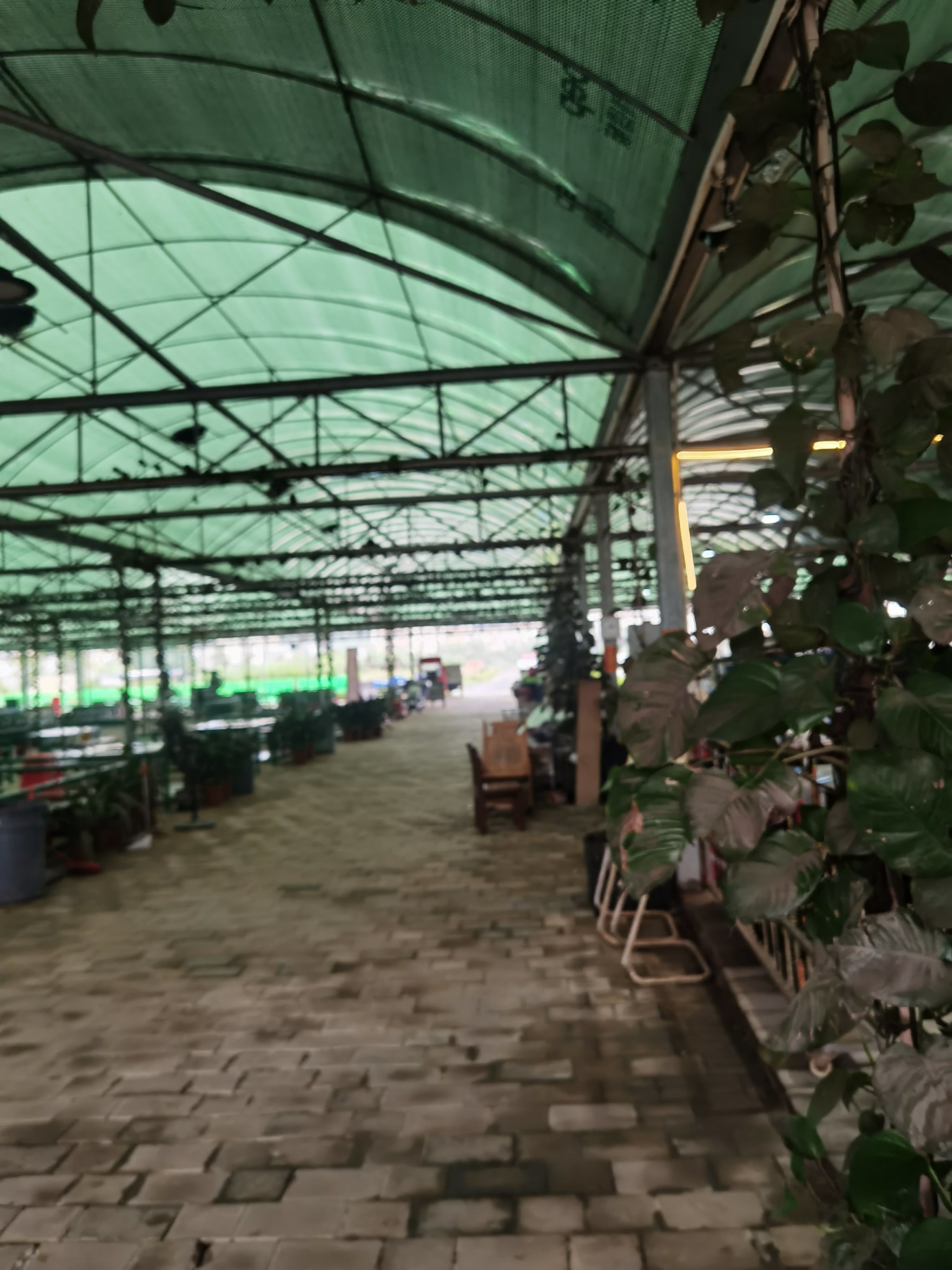 莱州芙蓉休闲海钓基地(莱州海钓免费钓点地图) 莱州芙蓉休闲海钓基地(莱州海钓免费钓点地图)