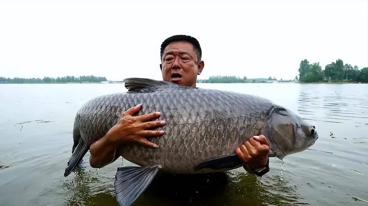 李大毛老师钓鱼的技巧(李大毛钓鱼视频2019钓鱼视频 视频)