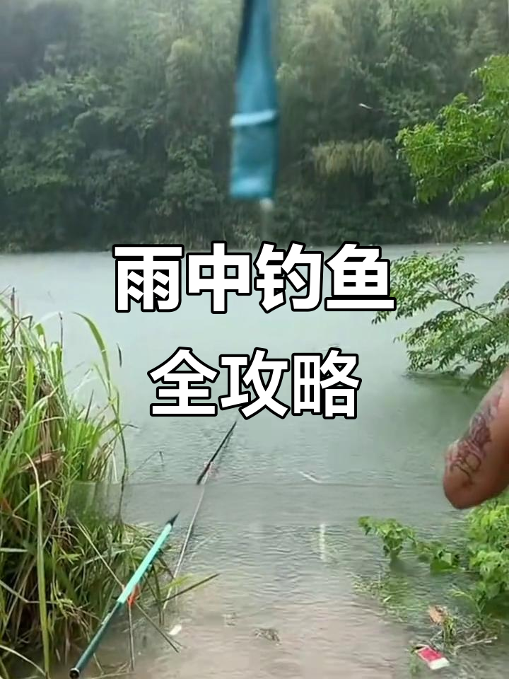 夏季雨天深水塘钓鱼技巧(下雨天钓鱼塘鱼好钓吗)