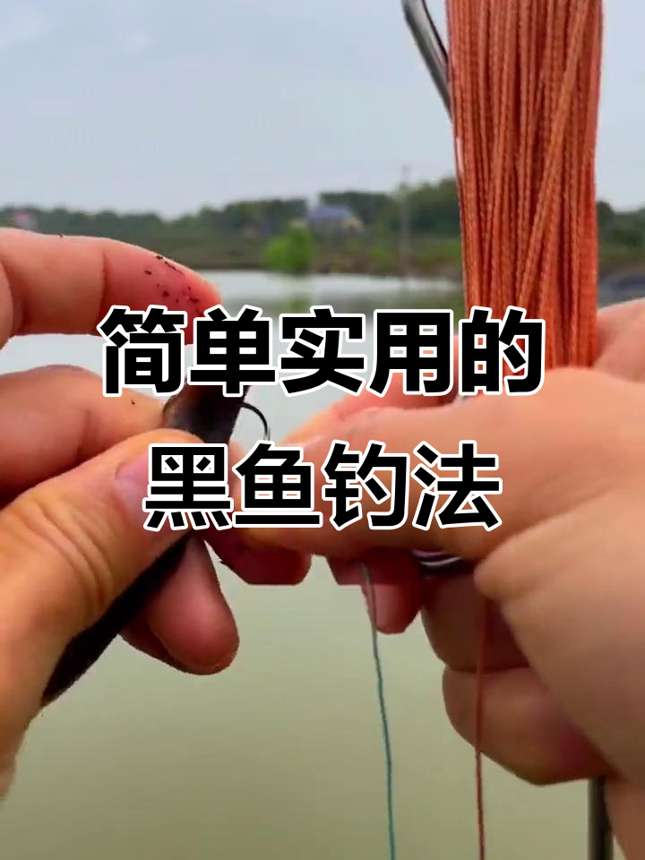 黑坑钓鱼诱鱼技巧(黑坑钓鱼诱鱼技巧)