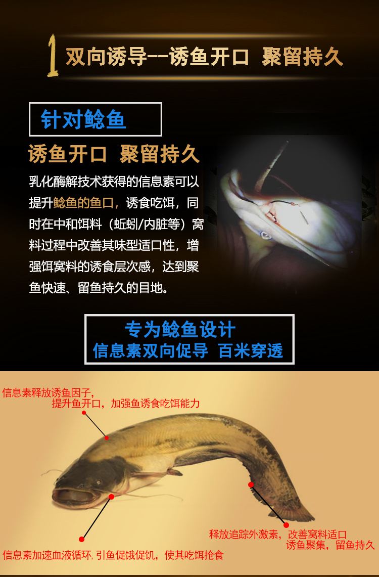 钓鲇鱼用什么饵料(如何钓鲇鱼)