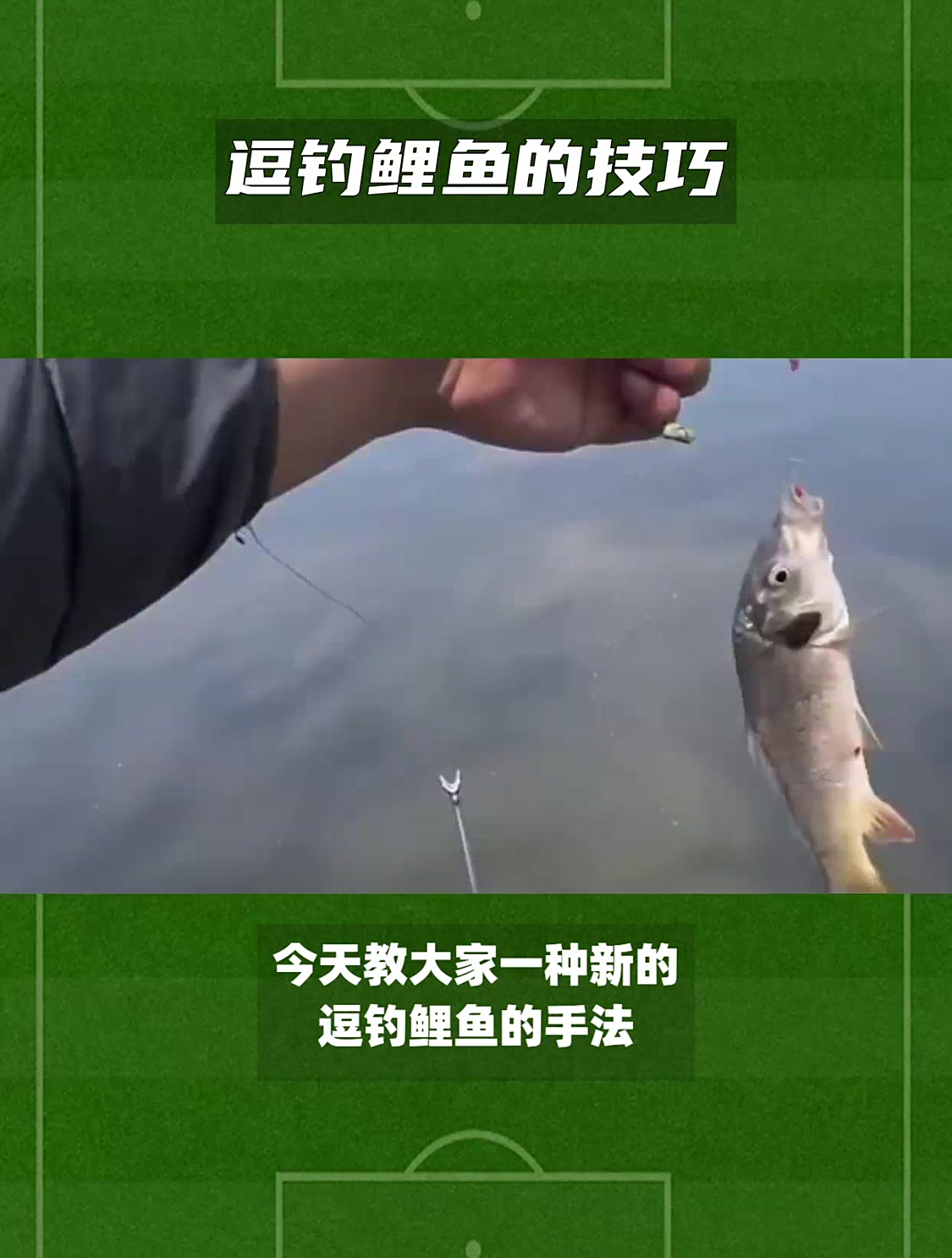大河钓鲤鱼技巧(大河钓鲤鱼技巧和方法)