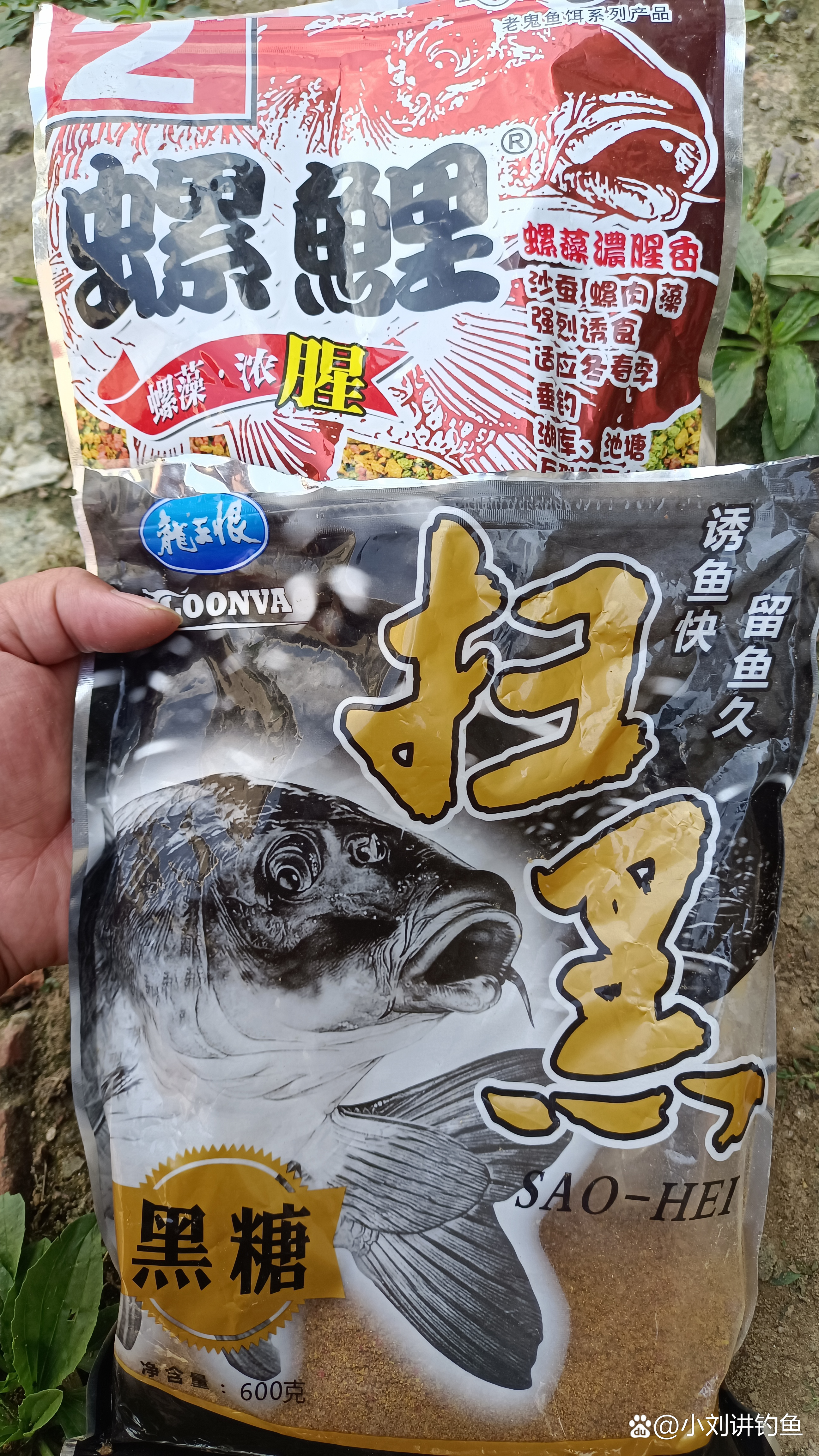 秋季钓鲤鱼饵料(秋季钓鲤鱼饵料用腥还是香的好)