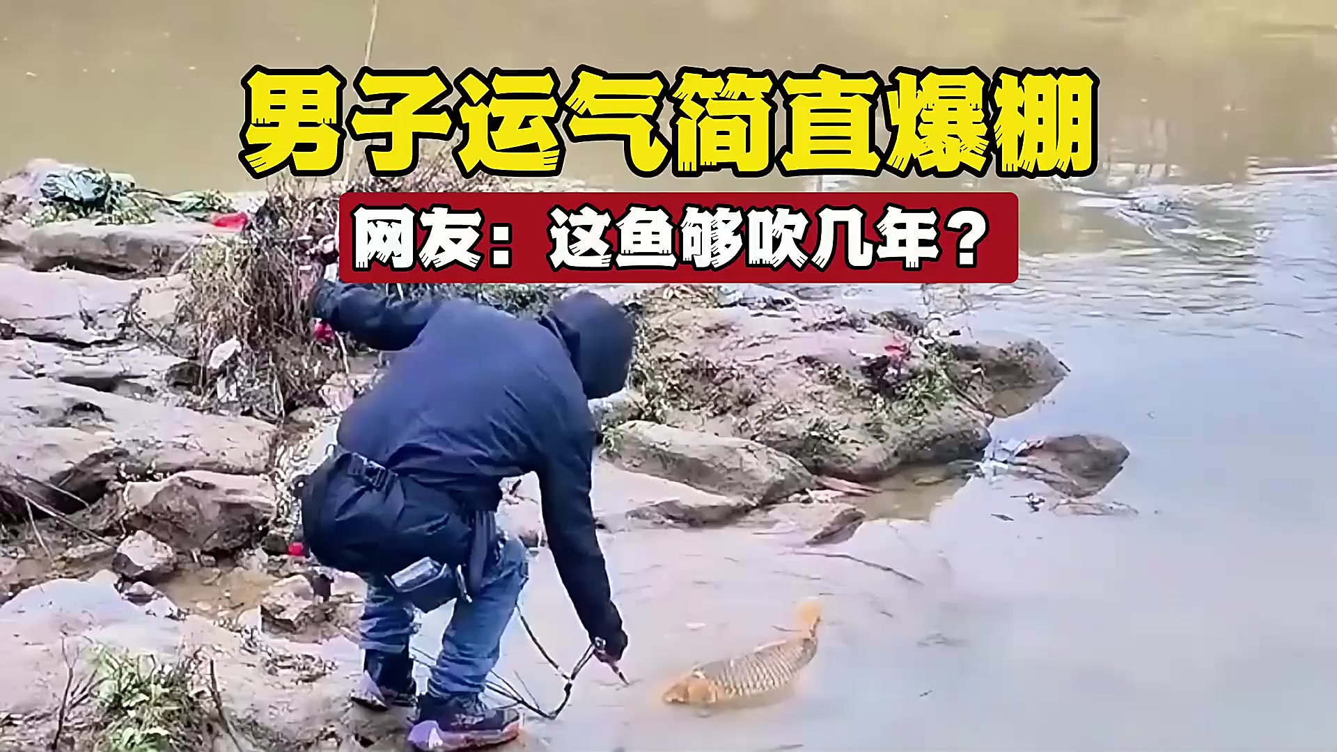 路亚可以打鲤鱼吗(路亚能路鲤鱼吗)
