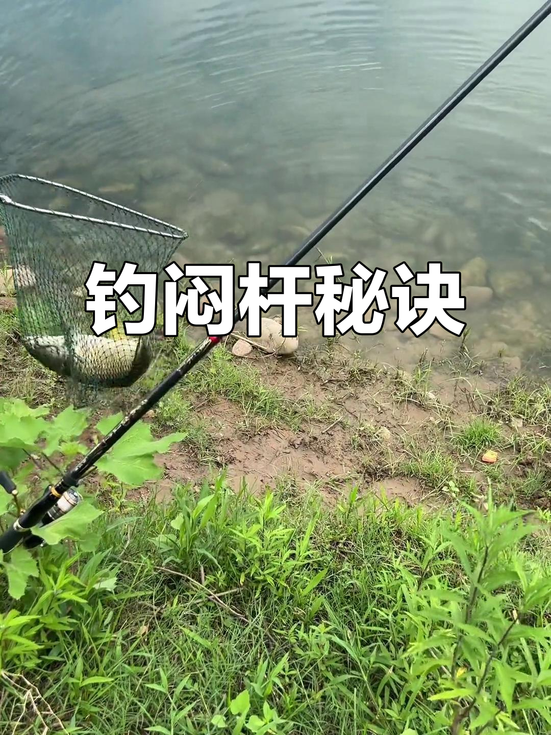 闷杆技巧(什么叫闷杆钓法)