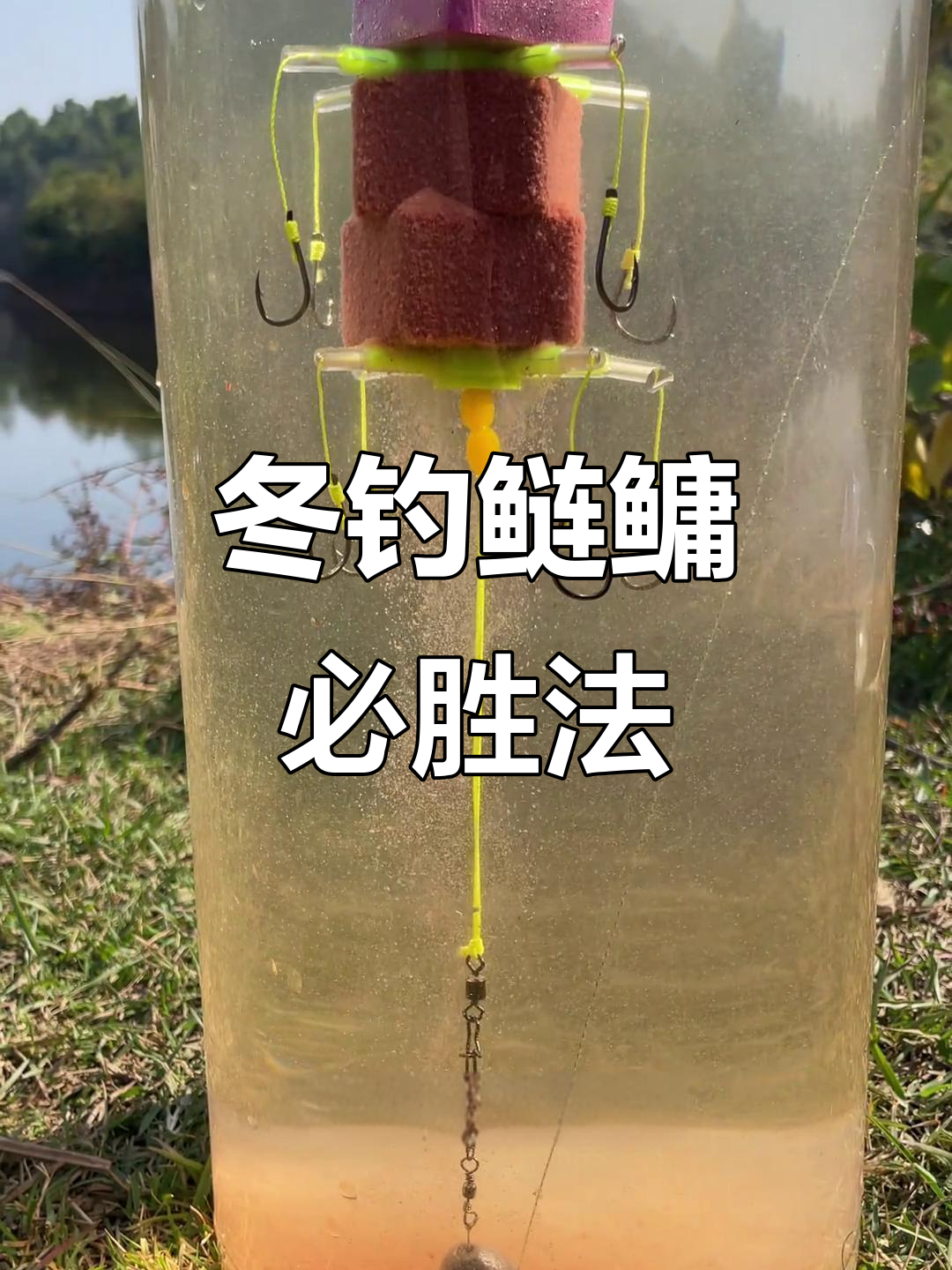 钓连鱼了技巧(钩连鱼拿什么才好钩)