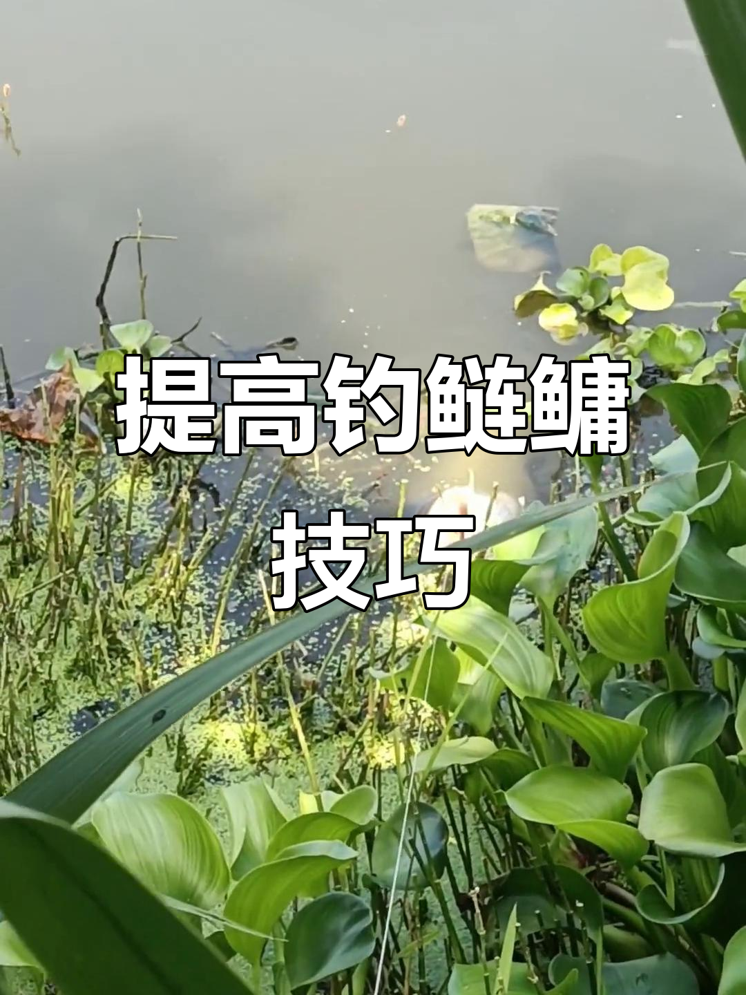 钓连鱼了技巧(钩连鱼拿什么才好钩)