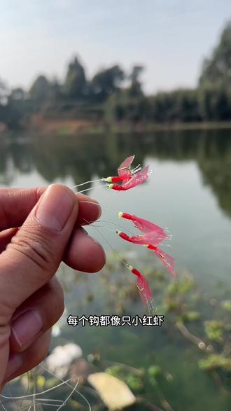 白条串钩在海钓(钓白条串钩的绑法图解视频)