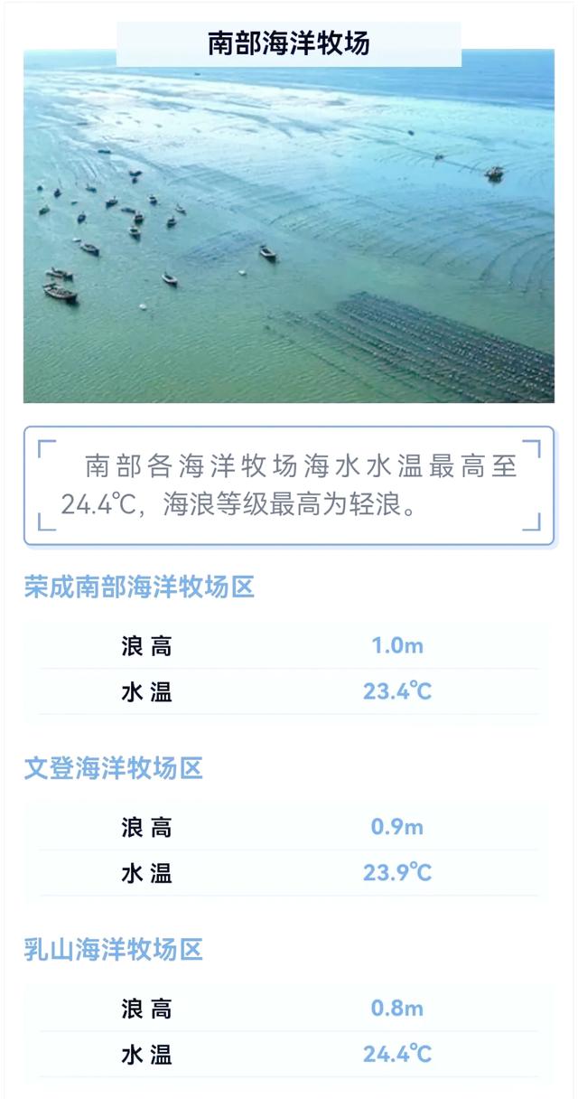 威海钓鱼地点(威海野钓地点)