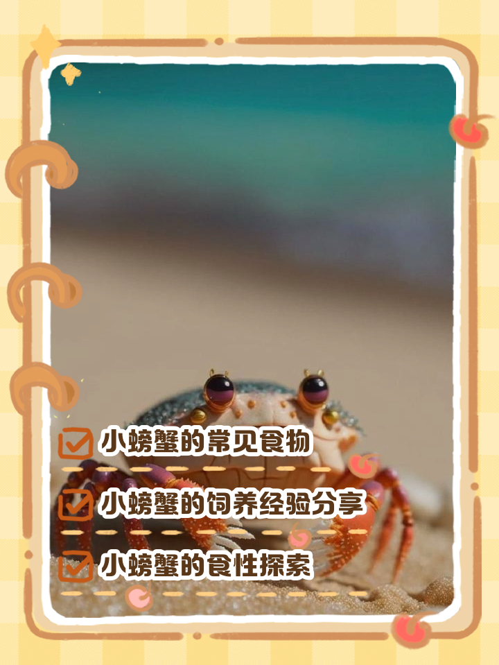 螃蟹吃什么饵料(螃蟹的诱饵用什么料?)
