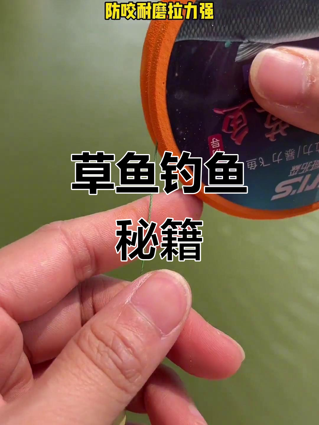 草鱼饵料开发(草鱼苗的开口饵料)