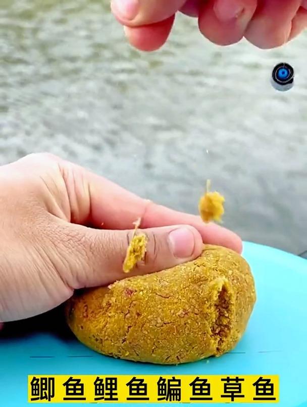 饵料调状态如何(饵料状态的调整技巧)