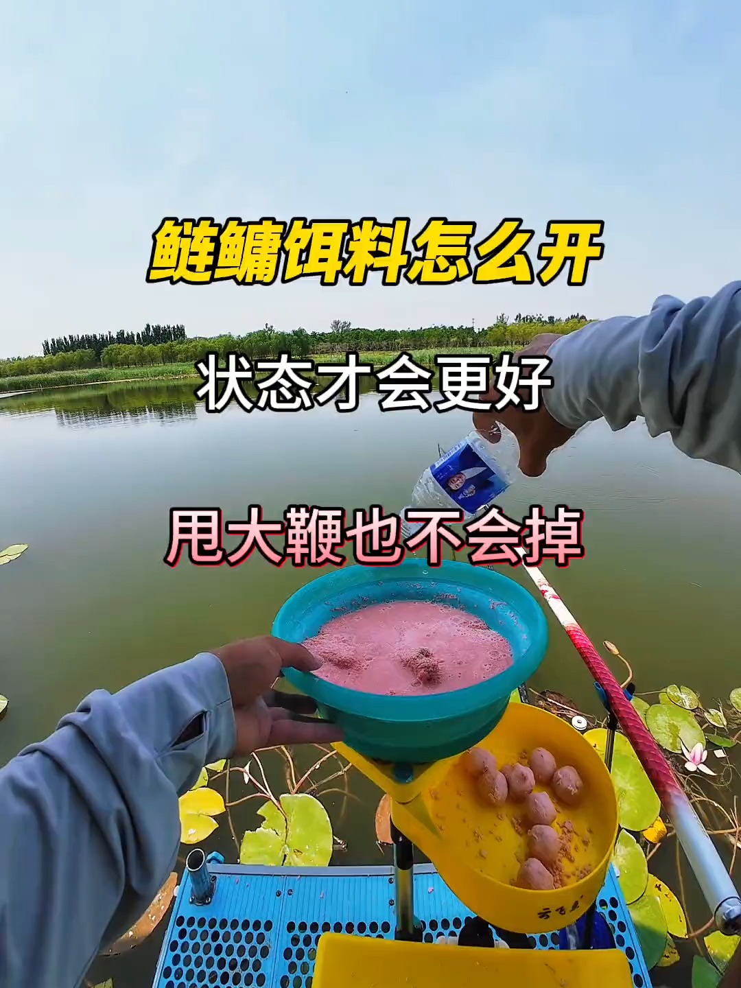 饵料调状态如何(饵料状态的调整技巧)