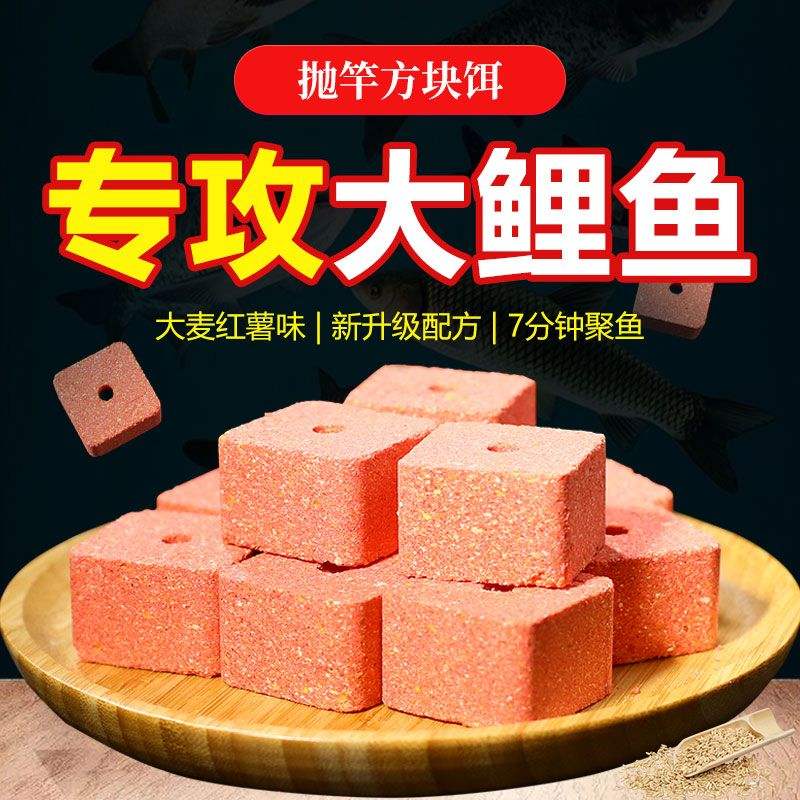 秋天方块饵料(夏季方块饵料有哪几上鱼效果好)