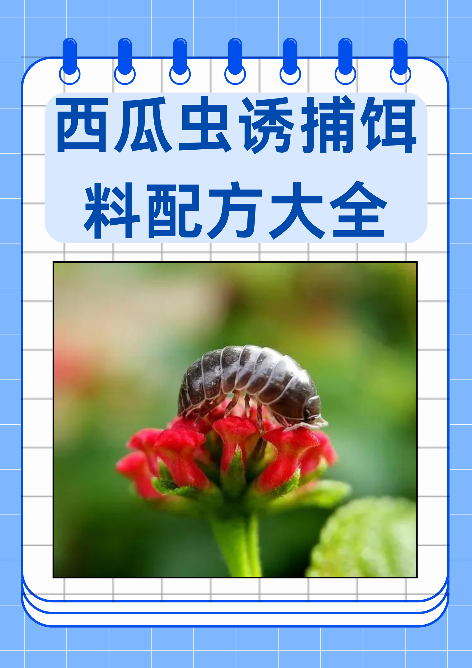 原创饵料配方(饵料绝密配方,忍痛公布)