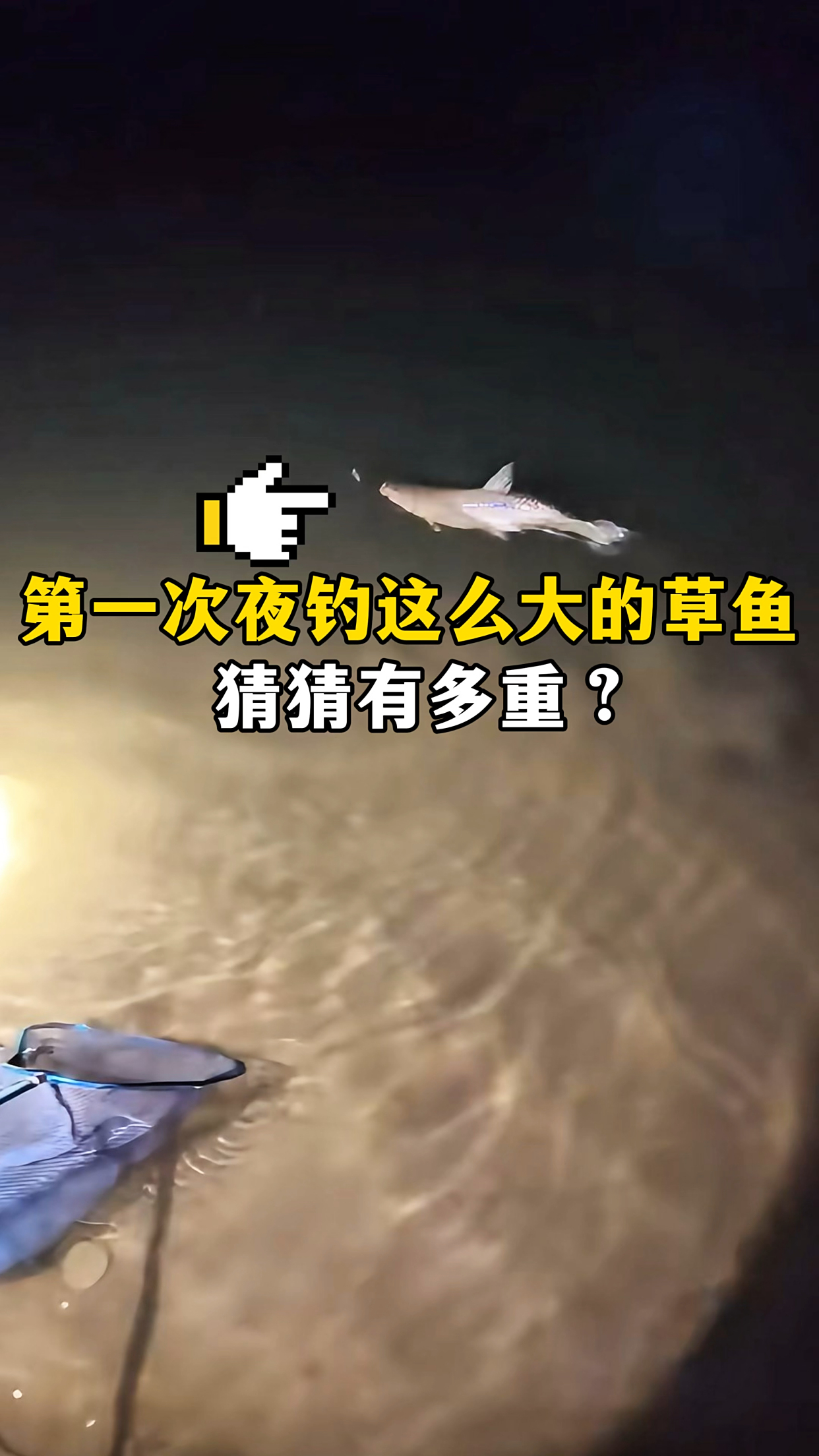 晚上夜钓草鱼技巧(晚上怎么野钓草鱼)