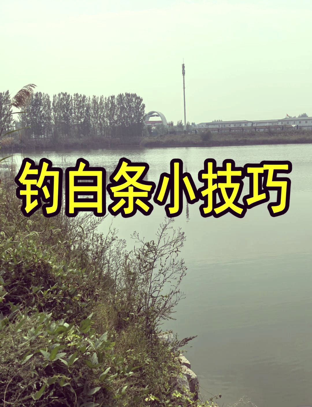 钓白条需要技巧吗(钓白条用什么钓法)