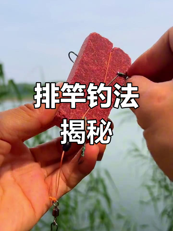 春季抛竿钓青鱼技巧(春季抛竿钓青鱼技巧视频)