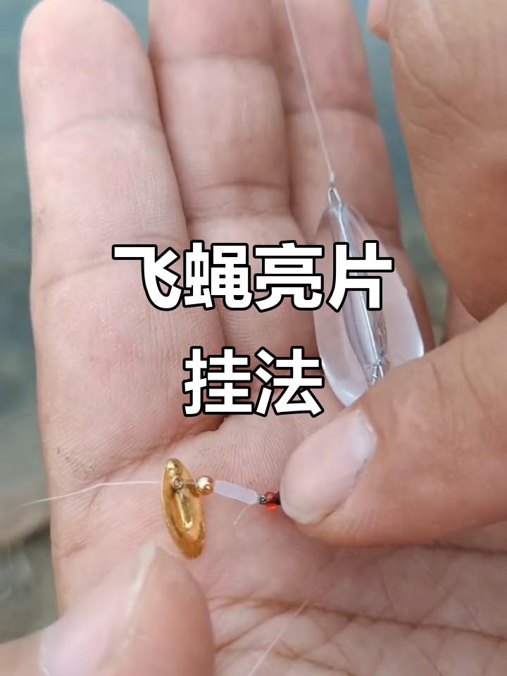 瓜子亮片钓鱼小技巧(瓜子亮片钓鱼教学视频直播)